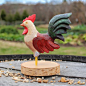 Rooster and Chicks