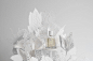 Le Parfum – Claus Porto : A popup book to display the new Claus Porto perfume.