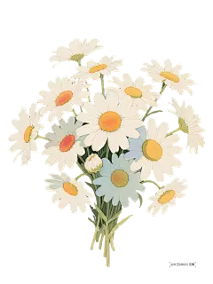 小雏菊