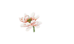 MOM2016采集到微信