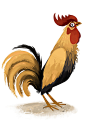 Chickens! : Chickens