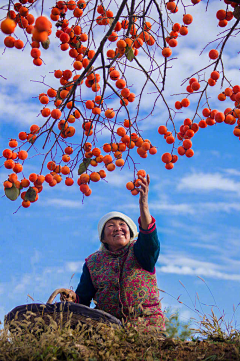 花儿cc采集到摄影人物