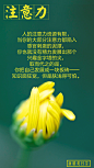 0201 注意力（无）-玉平
#新精英日签# #新精英生涯# #生涯规划# #你的生命有什么可能# #生涯研习社#