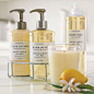 I love the Williams-Sonoma Essential Oils Collection Meyer Lemon on Williams-Sonomacom: 