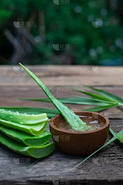 新鲜芦荟茎和凝胶木桌，皮肤治疗概念，复制空间