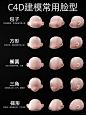干货教程_ C4D建模常用Q版卡通脸型_1_苹果卷毛_来自小红书网页版