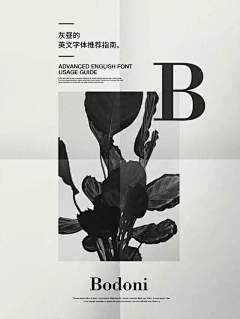 AlkfbD0J采集到海报