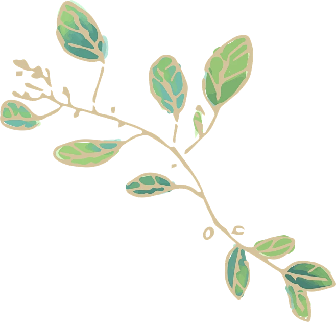 绿植绿色叶子树叶枝干边框装饰图形 (32)-花瓣网