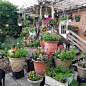 The Top 75 Flower Garden Ideas - Landscaping Design - Next Luxury