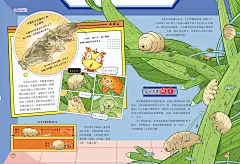 美编日常之小学科普杂志 - 小红书