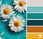 Daisy hues