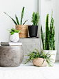in love with Indie Home Collective styling!: 
