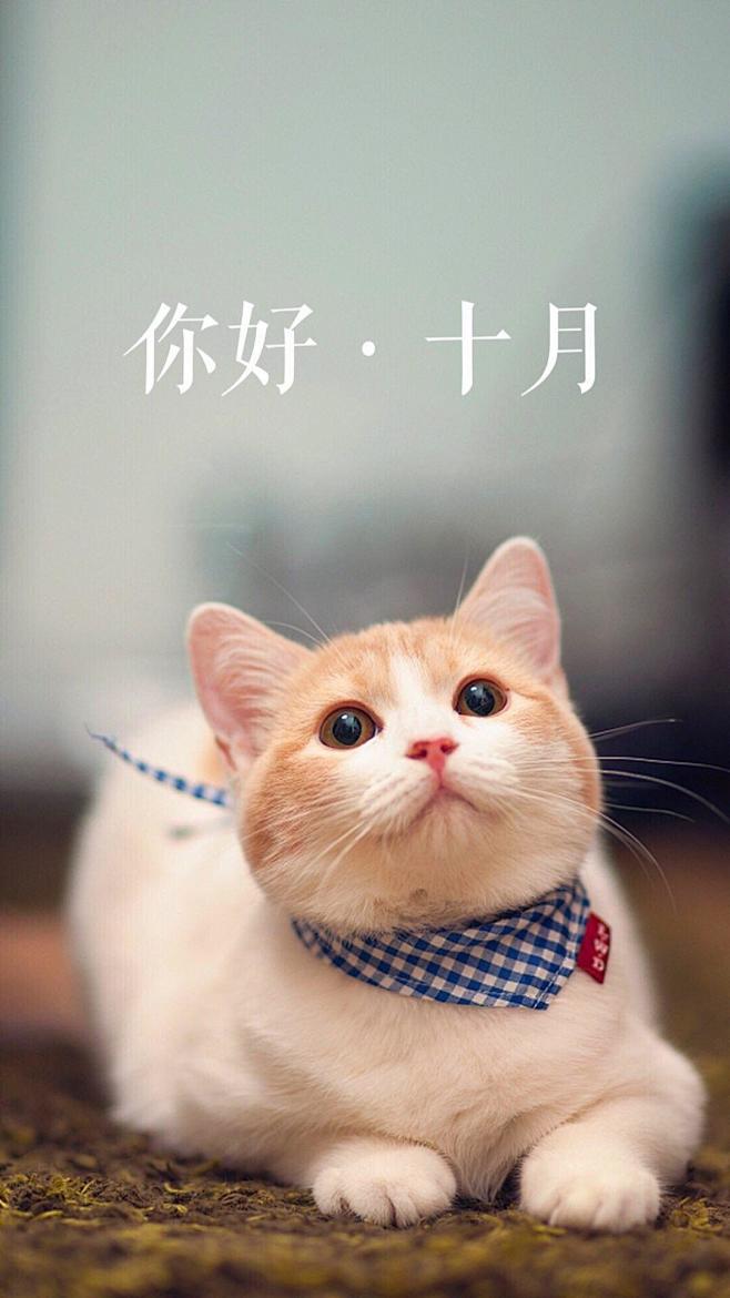 你好，十月