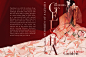 book covers ILLUSTRATION  Digital Art  Drawing  فلك   desıgn  
