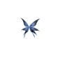 幻夜女王蝴蝶之翼