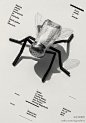 海报中的字形创意与版式设计分享（九）
