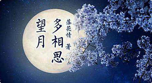 孤凄的月,依旧有着它的傲骨,使闪耀的星永.