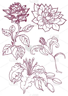 手绘花朵