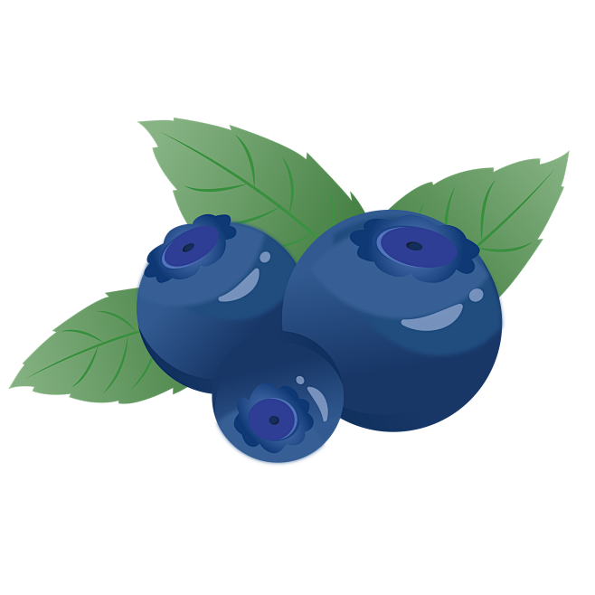 卡通蓝莓