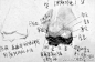 最全素描五官解析

眼睛

头像里，眼睛的重要性是不言而喻的。作画时，应把握好它的角度，厚度，深度以及细节的刻画。

鼻子...展开全文c