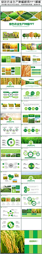 绿色农业种植科技粮食作物生产PPT模板