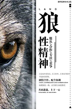 企业文化狼性精神