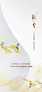 【源文件下载】 海报 房地产 二十四节气 秋分 简约 中式 版式  257447