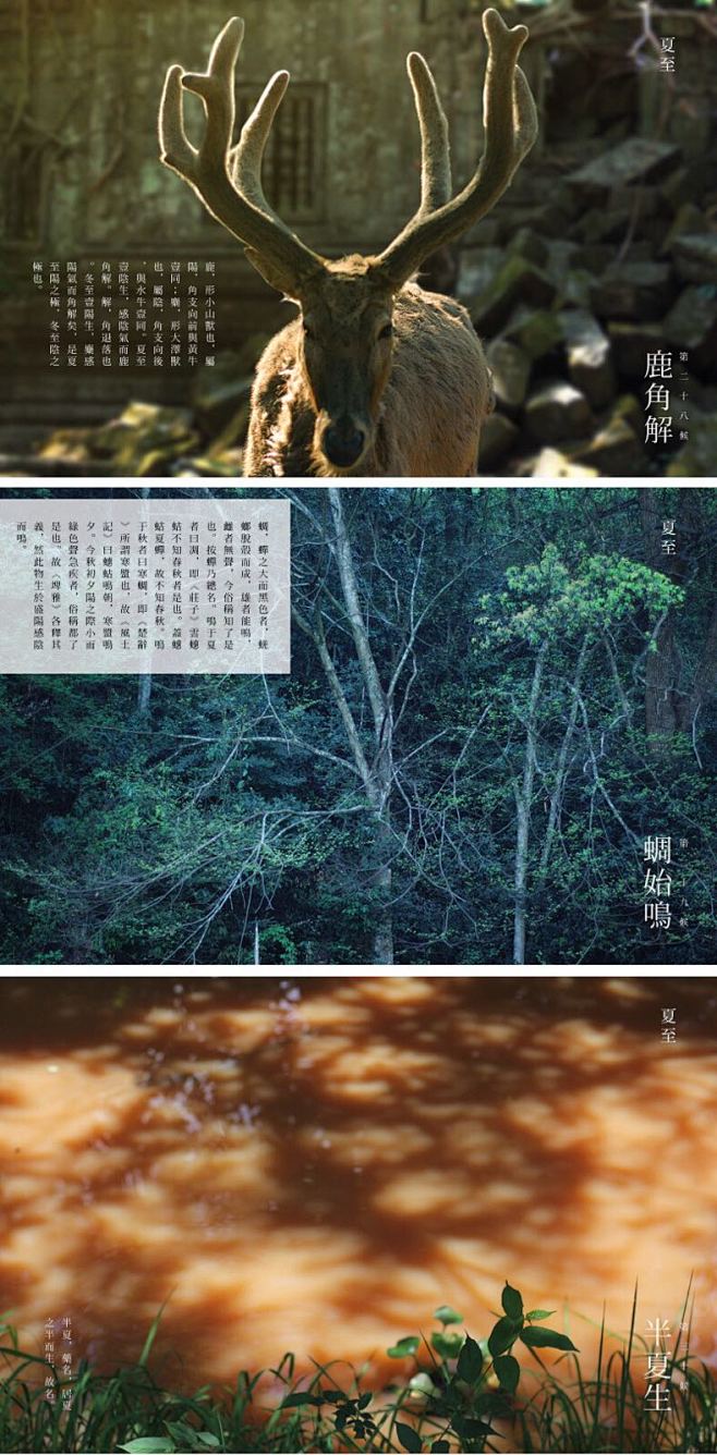 【bullshit】七十二物候(图：呼吸...