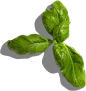 喜提地球：植物 水果