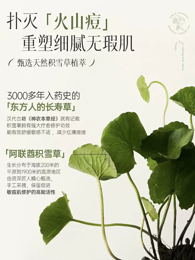 积雪草熬夜水乳套装护肤品补水保湿控油提亮...