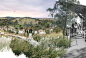 HASSELL | Projects - Molonglo River Park Concept Plan