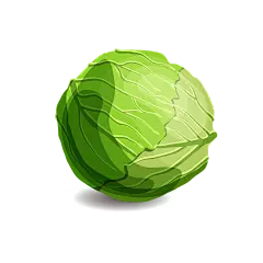 卡通插画卷心菜包包菜蔬菜图案