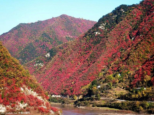 阳朔映山红开满山阳朔照片 摄影 图片 p...