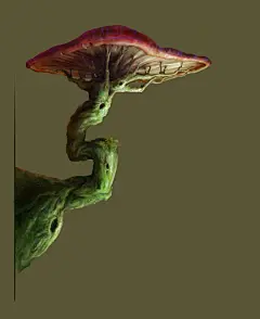 优秀学员推荐以及守夜人第一期网络班前期设计作品展