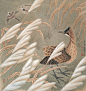 金鸿钧作品欣赏（五）