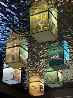 中国湿地博物馆 | 数字化展示设计 - 小红书