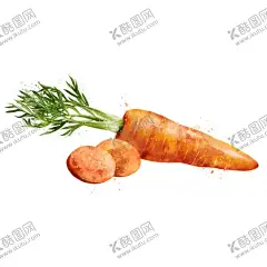 手绘彩色蔬菜免扣素材图片 【酷图网】青菜插画,蔬菜插画,手绘蔬菜,手绘青菜,健康饮食,果蔬,蔬菜,水果,饭菜,绿色蔬菜,食物手绘,小清新,素材,美食,餐饮,手绘,食材,插画,火锅食材,食物,光盘行动,拒绝浪费,光盘,公益,宣传,卡通,PNG,免抠,免抠图,抠图,元素,透明,蔬菜素材,蔬菜沙拉,沙拉,有机蔬菜,天然,健康,萝卜,胡萝卜