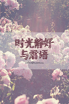 祀祭花非花采集到字裡行間