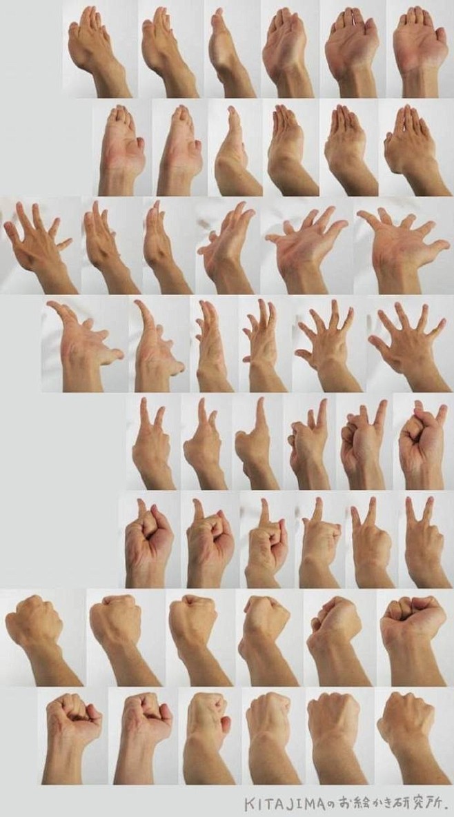 #绘画参考# (～￣▽￣)～ 不同角度的...