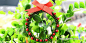 圣诞节来啦！使用各种材料为即将到来的圣诞节制作一些有趣别致的装饰品，使用圣诞节非常有代表性颜色的红、绿两色铜丝线缠绕成弹簧形状后弯曲成圆环，红色珠子加以点缀，就制作完成了一款装饰花环，可以用装饰在圣诞树顶端。 #DIY#