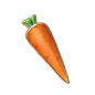 Carrot : Carrots are a Cooking Ingredient found in the wild in Teyvat. Carrots grow in various locations of Teyvat, mainly in Mondstadt, and most often grow alongside other Carrots and/or Radishes. See the Video Guides section or the Teyvat Interactive Ma