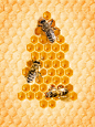 蜜蜂蜂巢背景图片