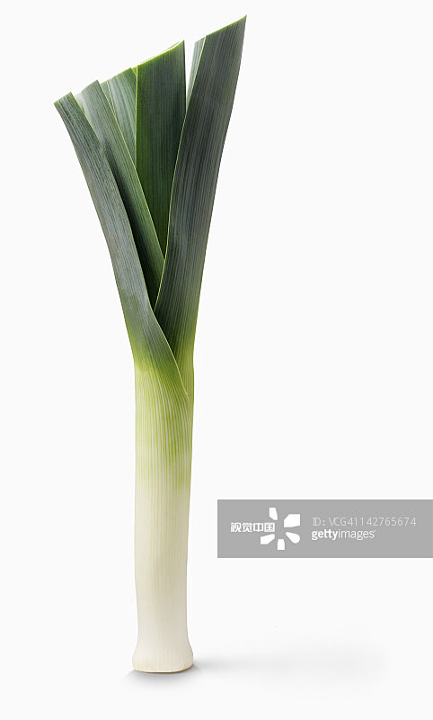 Leek on white backgr...