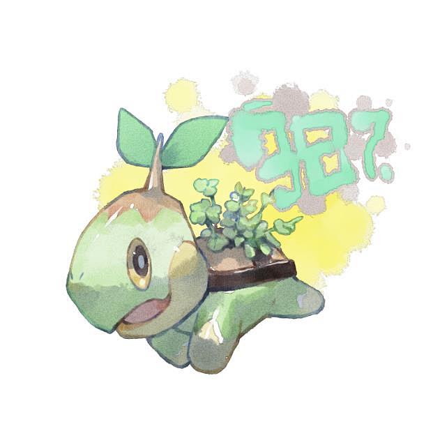 嫩苗龟