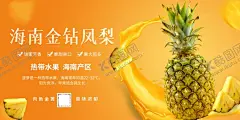 海南金钻凤梨海报 【酷图网】海南,金钻,凤梨,海报,设计