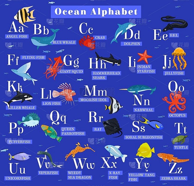 海洋动物字母表。ABC的儿童。学习文字和自然。