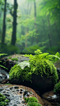 春季背景 (20)