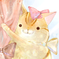 二猫 求领养~~