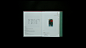 Guan Liang : 《關良》 Guan LiangCollection Book for Sotheby’s Hong Kong 2018 / Modern Art-150 copies, for collectors only.