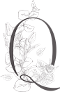 唯美婚礼素描字母花卉植物海报请柬装饰免抠PNG元素图案PS合集 (81)